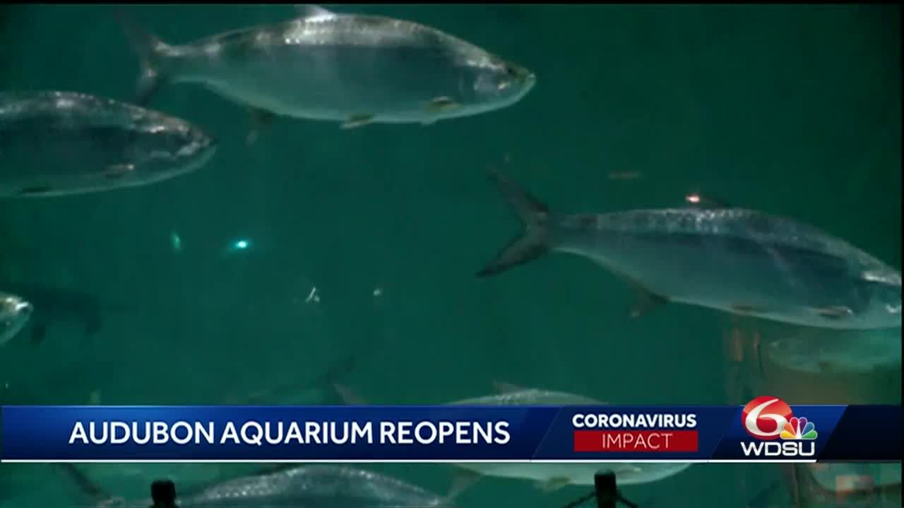 audubon aquarium coupons