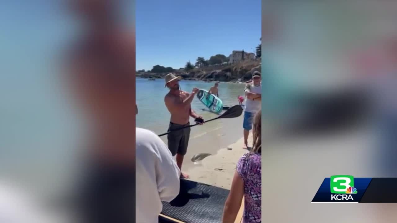 Paddleboarder and dog attacked by shark off Lovers Point Beach in Pacific Grove: Witness