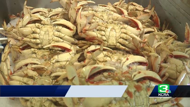 Ropeless fishing gear for California Dungeness Crab will expand this spring, News