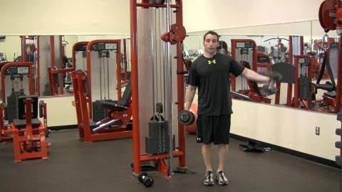 preview for Dumbbell Lateral Raise