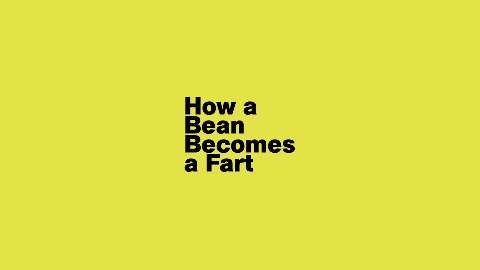 preview for How a Bean Becomes a Fart