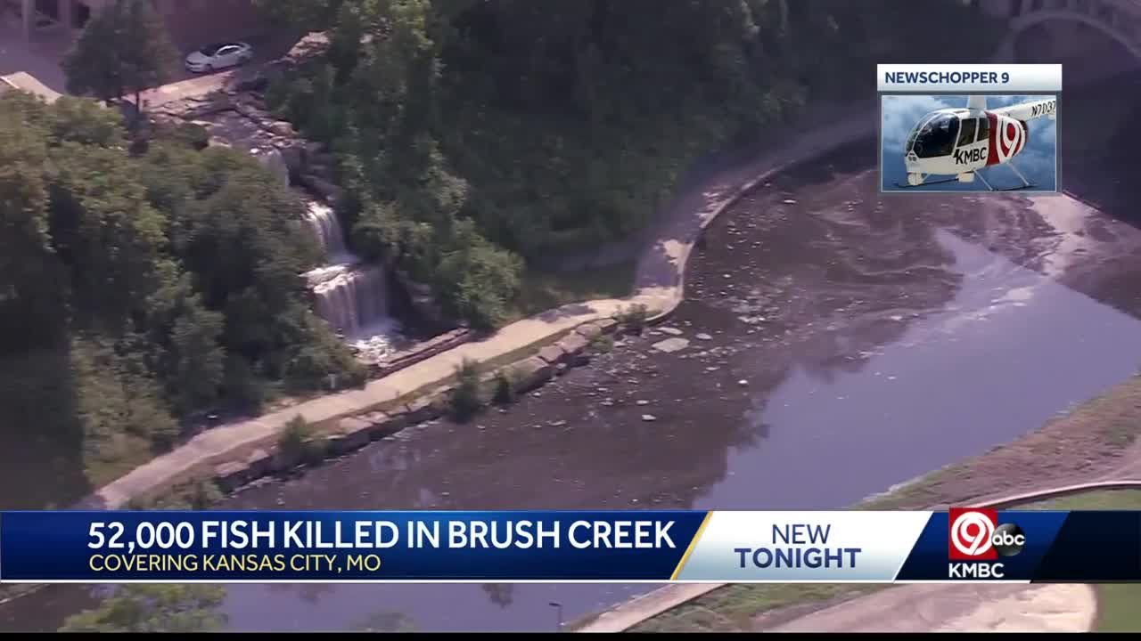 State officials monitoring Kansas City's Brush Creek after 52,000 fish die
