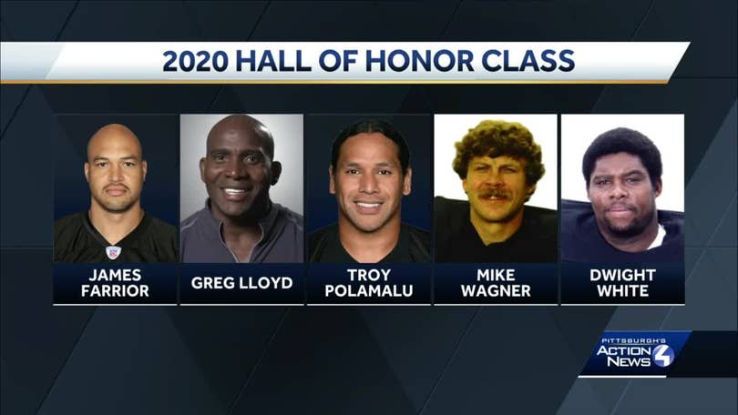 Troy Polamalu, Greg Lloyd among newest members of Steelers' Hall of Honor