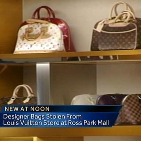 Five Shoplifters Hit Louis Vuitton Ross Park Mall Store, Steal Pricey  Handbags