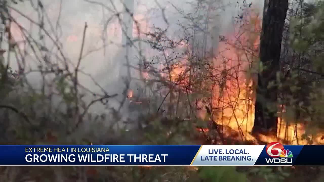 082723 Wildfire Louisiana map