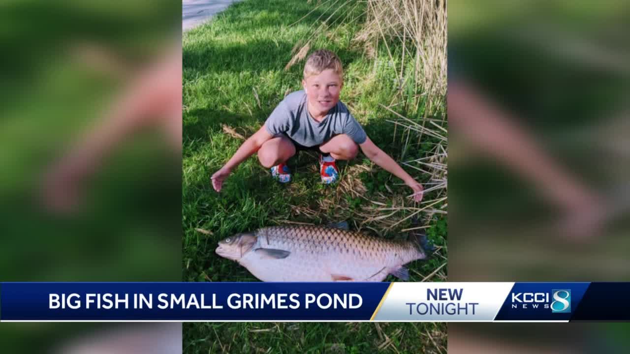 Something’s fishy! Family finds nearly 50 lb. fish swimming in retention pond