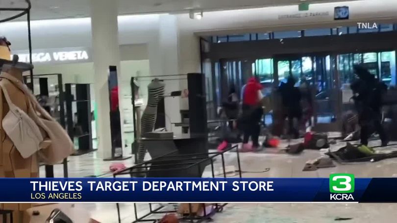 Mob of thieves storm Los Angeles mall, steal $100,000 in designer goods -  Washington Times