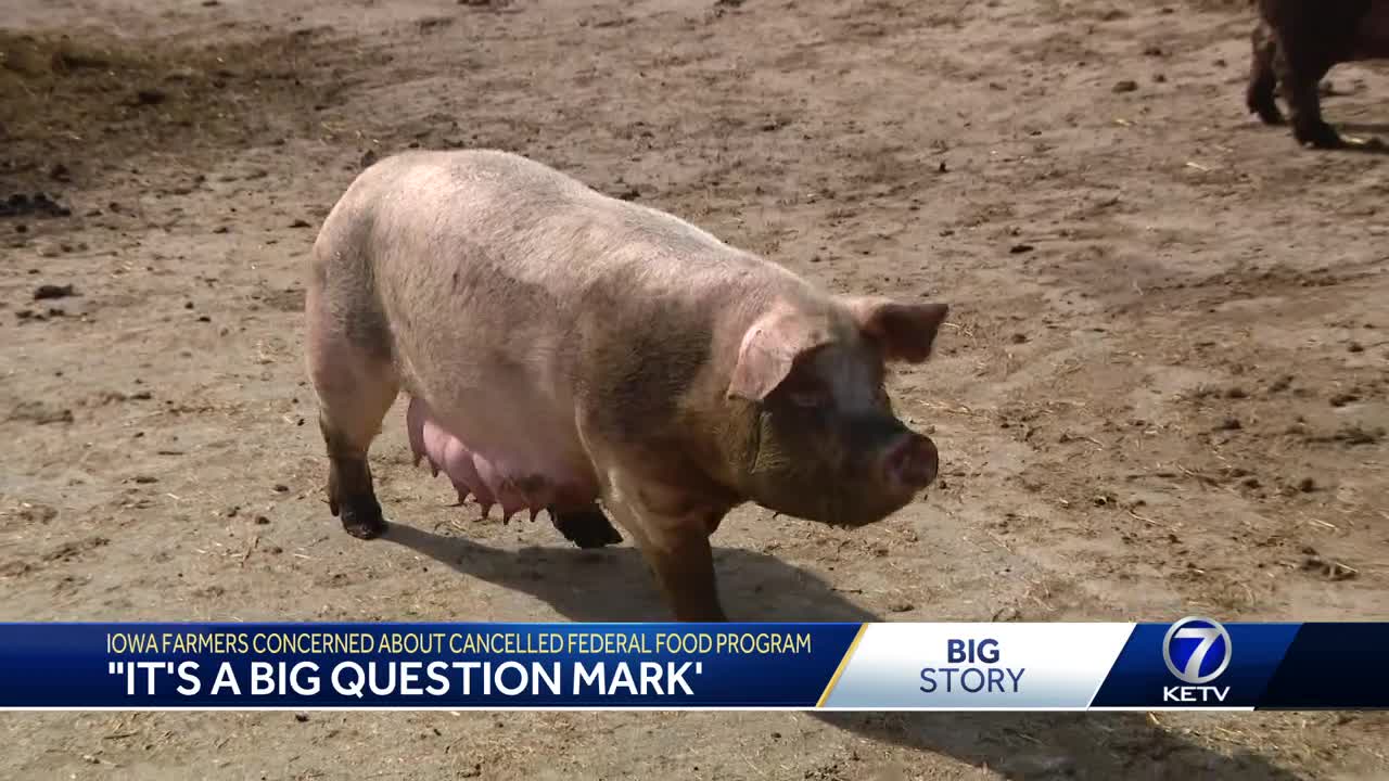 'It's a big question mark': Iowa farmers concerned about cancelled federal food program