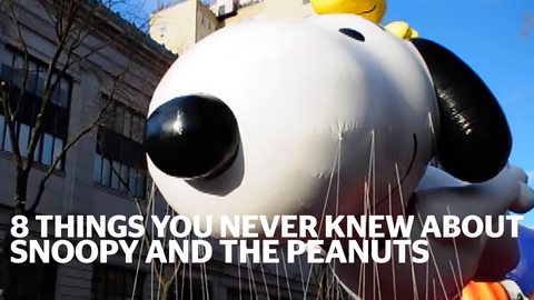 preview for 8 Things You Never Knew About Snoopy and the Peanuts Gang