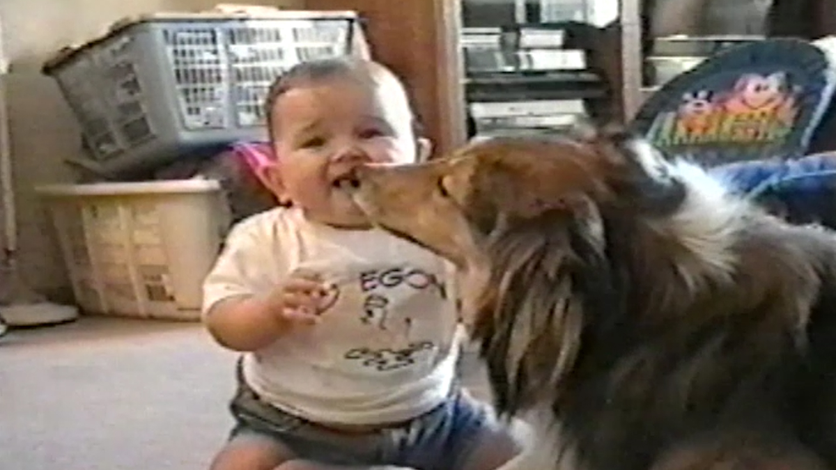 Reading book to his westy dog puppy