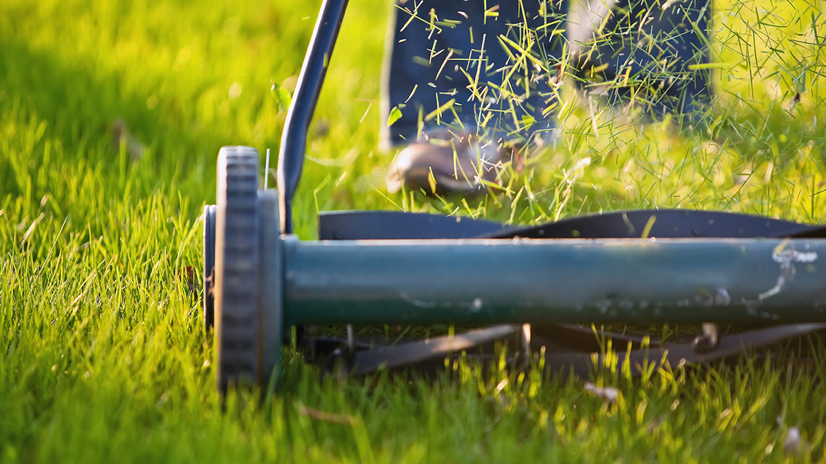 preview for 9 Mowing Tips for the Best Lawn on the Block