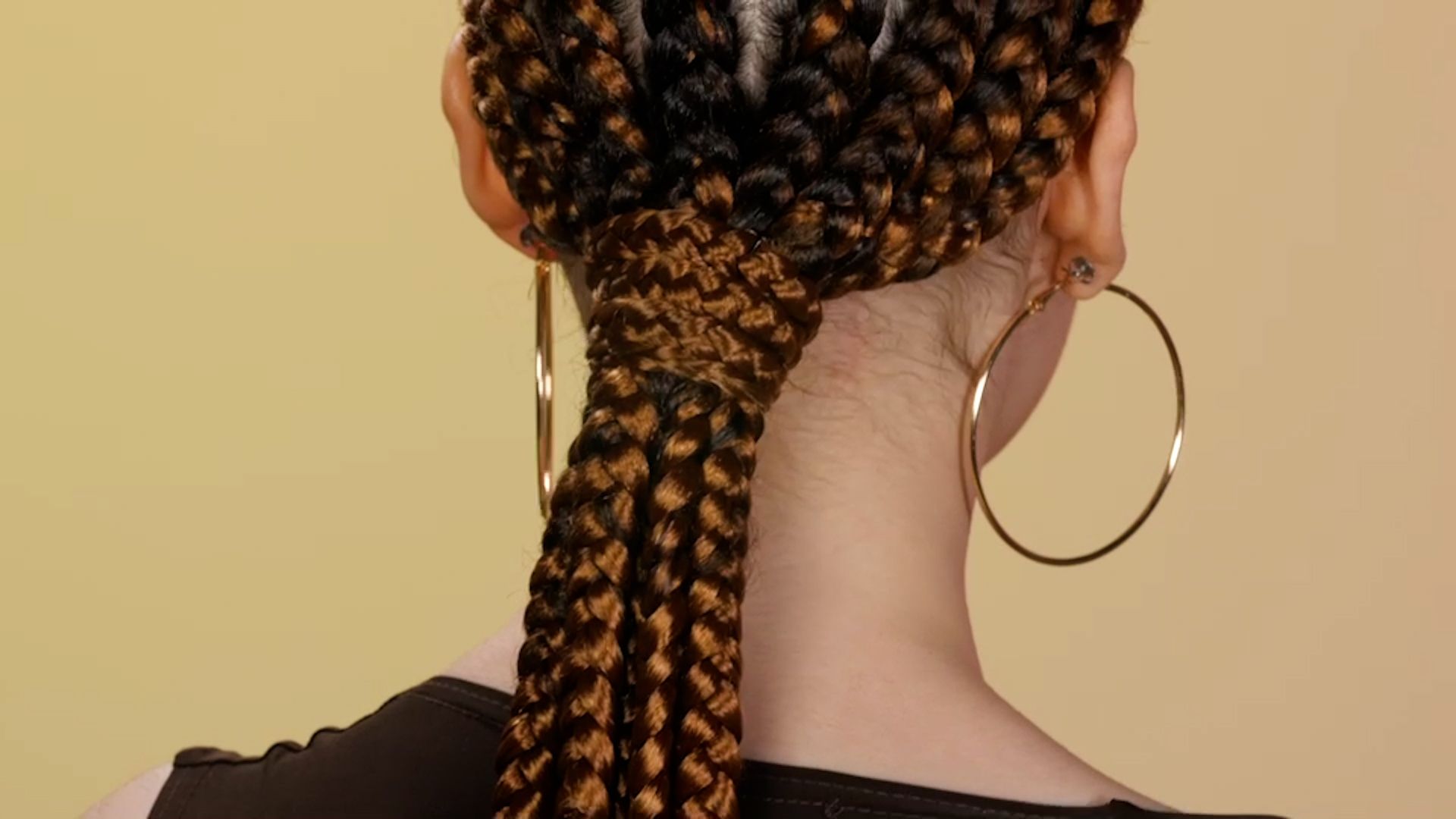 Image of Low ponytail with braids