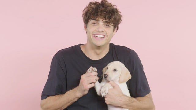 Visualizar para Noah Centineo de