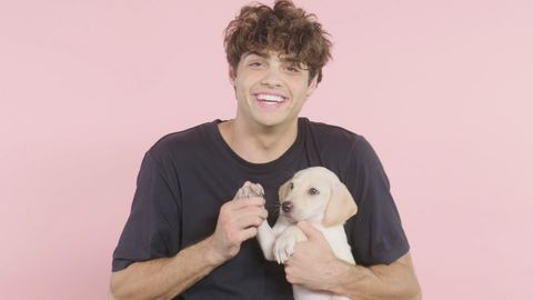 preview for Noah Centineo from 'To All the Boys I've Loved Before' Plays 17 Questions