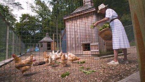 preview for Tour a Designer's Luxe Chicken Coops