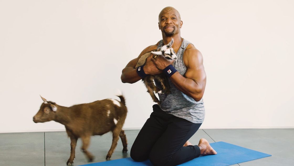 preview for Terry Crews Goat Yoga