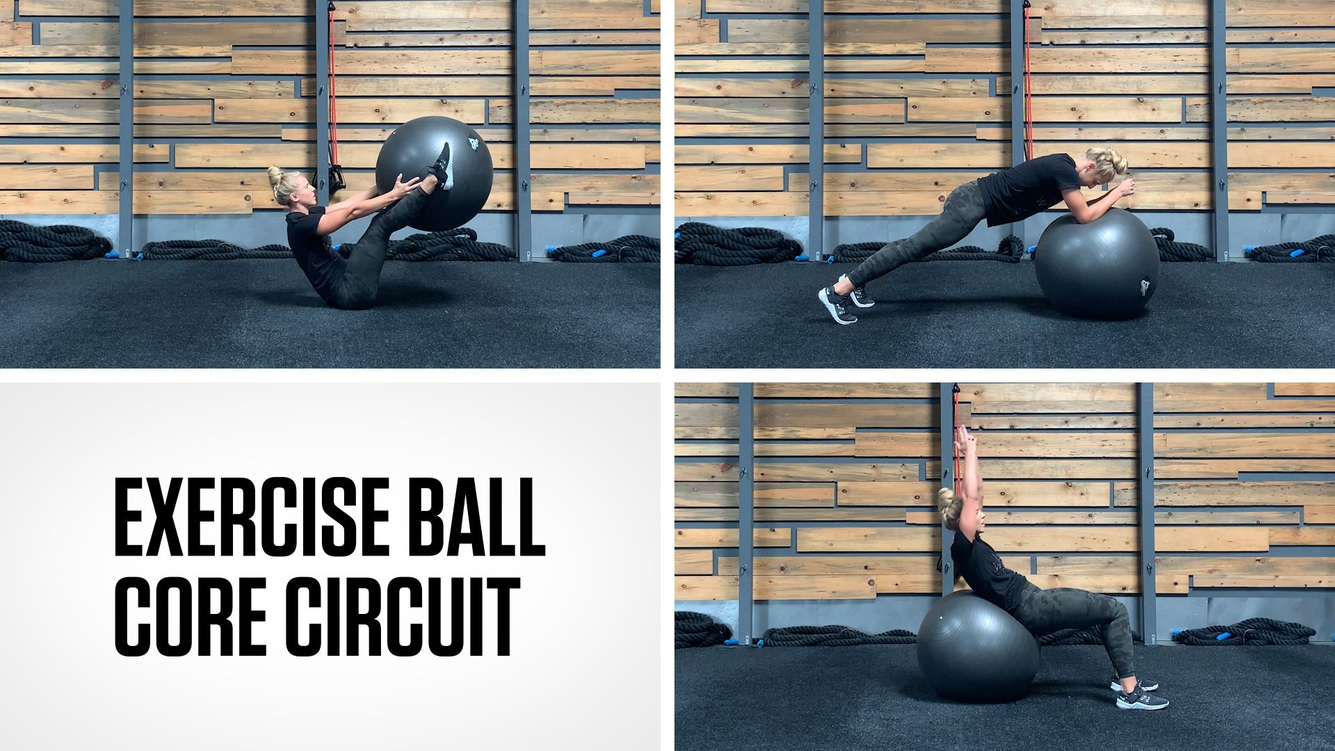 Exercise ball discount for abs core