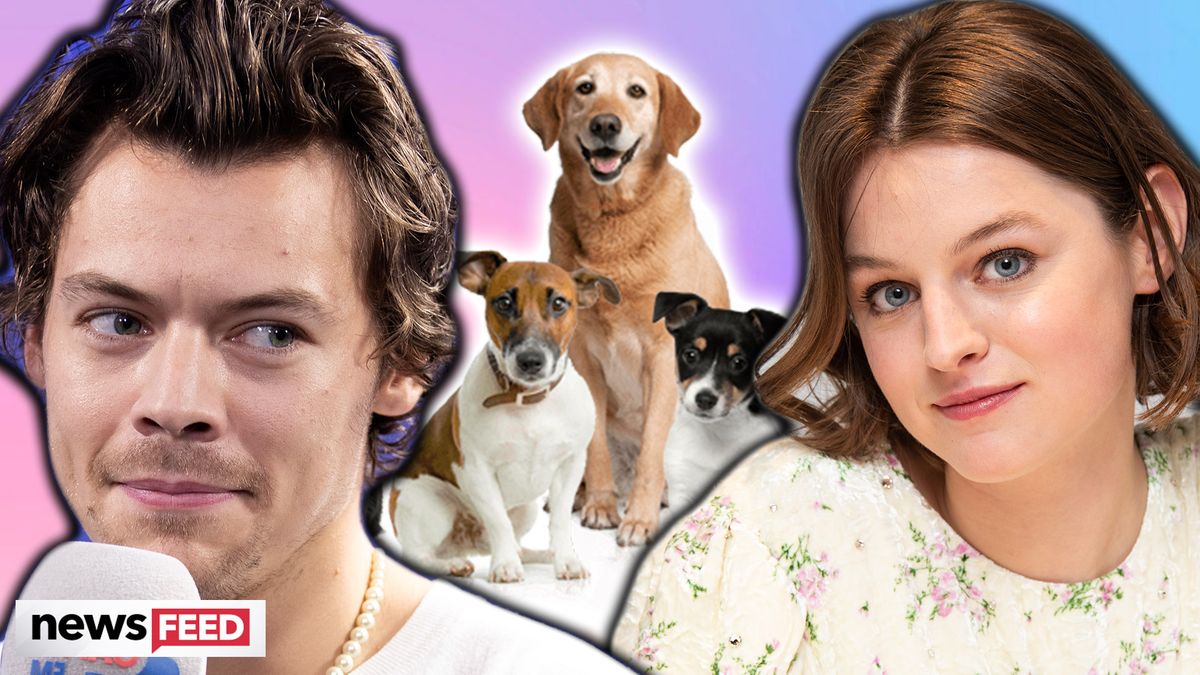 preview for Harry Styles Pet Sat For 'The Crown' Star Emma Corrin!