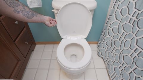 Here S How To Remove And Replace A Toilet Seat - Kohler Toilet Seat Removal Tool