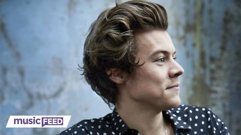 preview for Harry Styles Fans SHOOK After Never Before Seen Photos Surface!