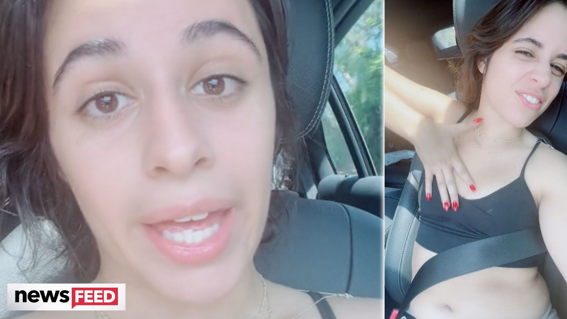 Camila Cabello Embraces Stretch Marks In Body Positivity TikTok photo