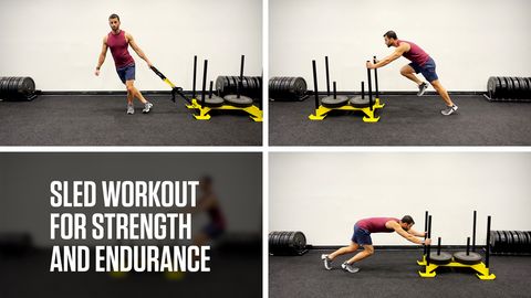 preview for Sled Workout for Strength and Endurance