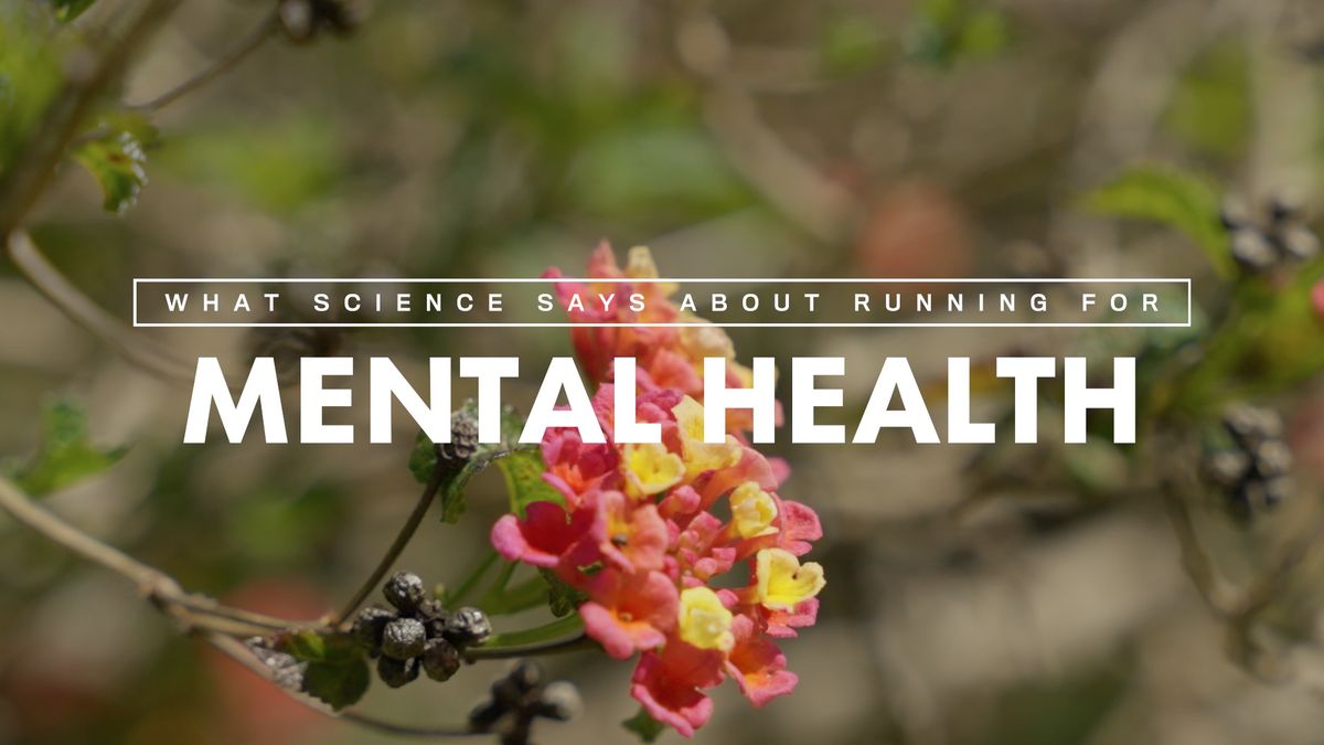 preview for What Science Says About Running For Mental Health