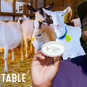 farm to table goat cheese