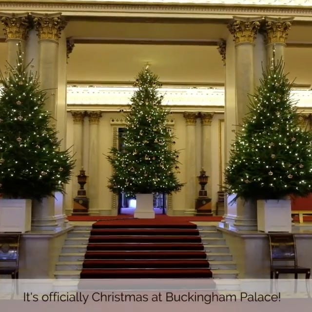 preview for The Buckingham Palace Christmas trees have arrived!