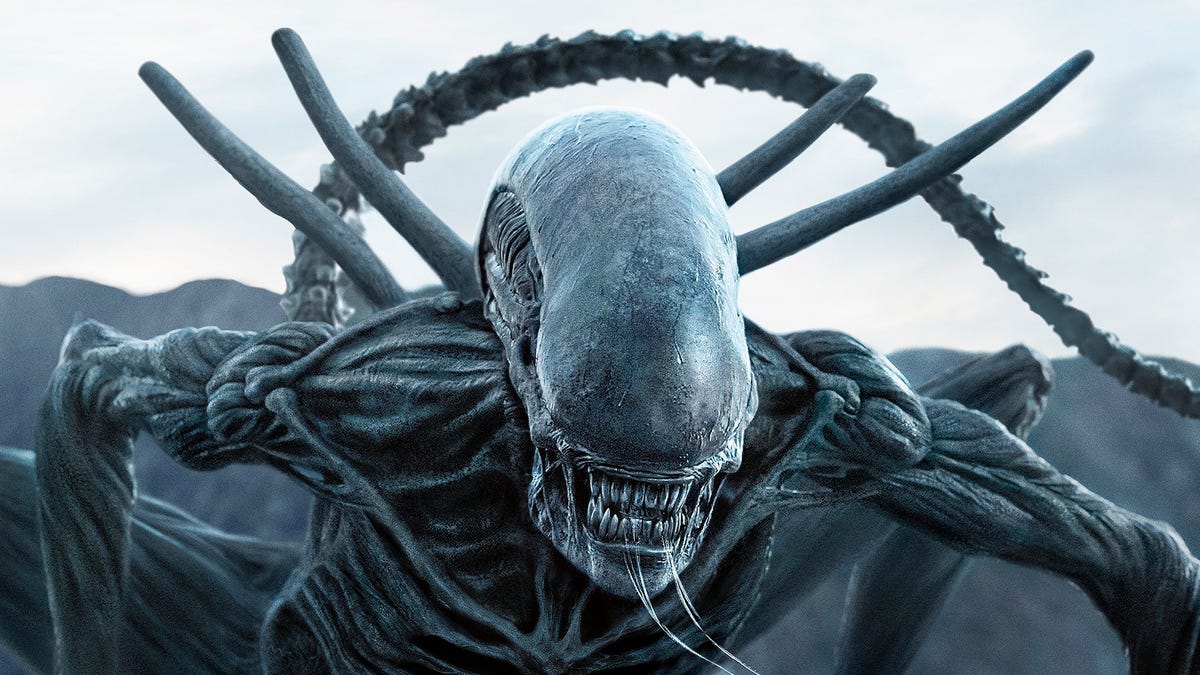 Curiosidades de #39 Alien #39 Cosas que no sabías de #39 Alien #39 Curiosidades de #39 Alien #39 Cosas que no sabías de #39 Alien #39
