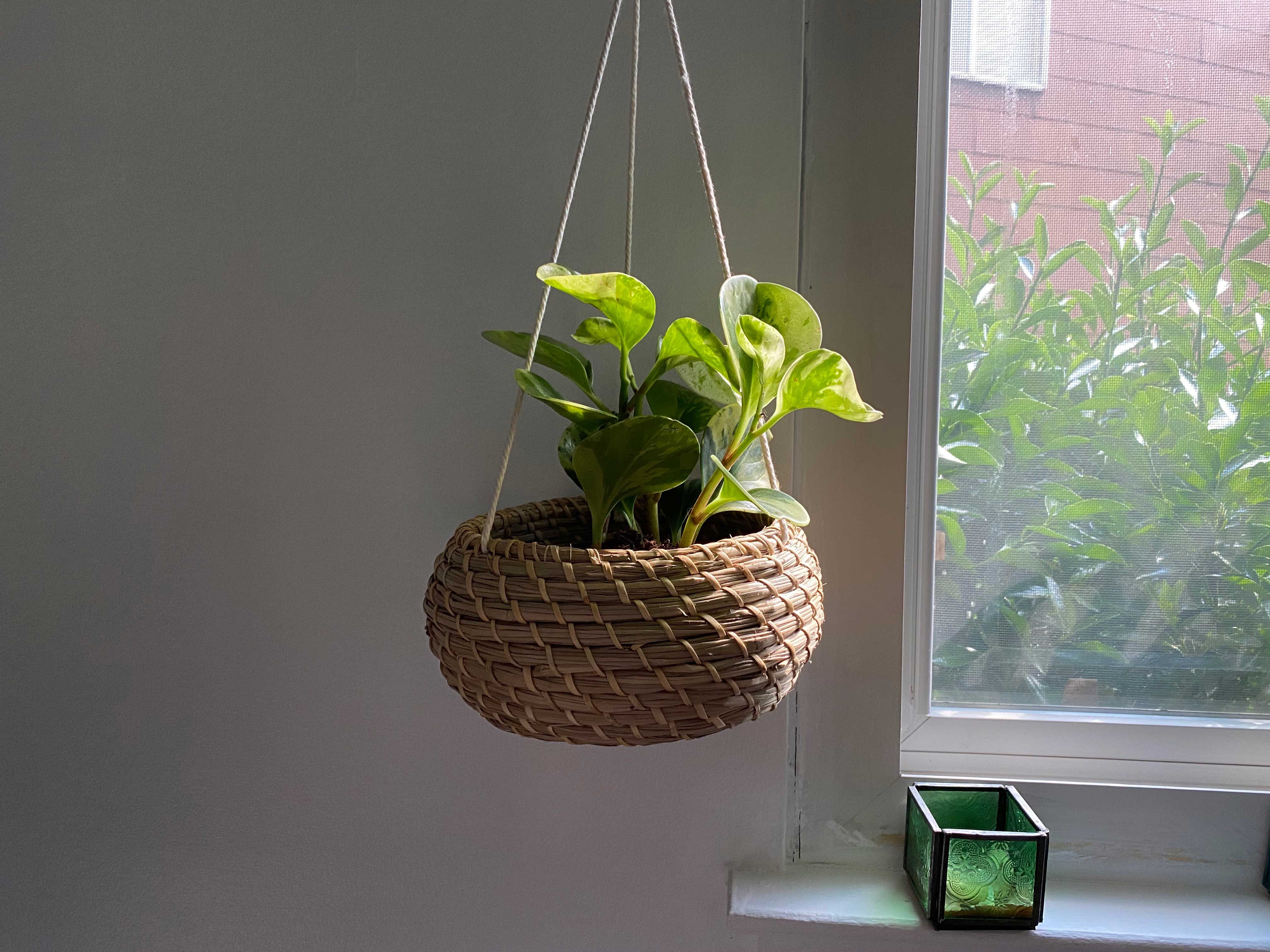 Handmade indoor plant pot