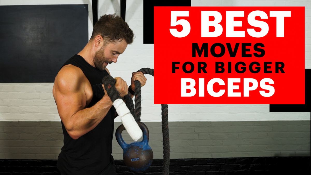 MUSCLE BUILDING Back and Bicep Workout