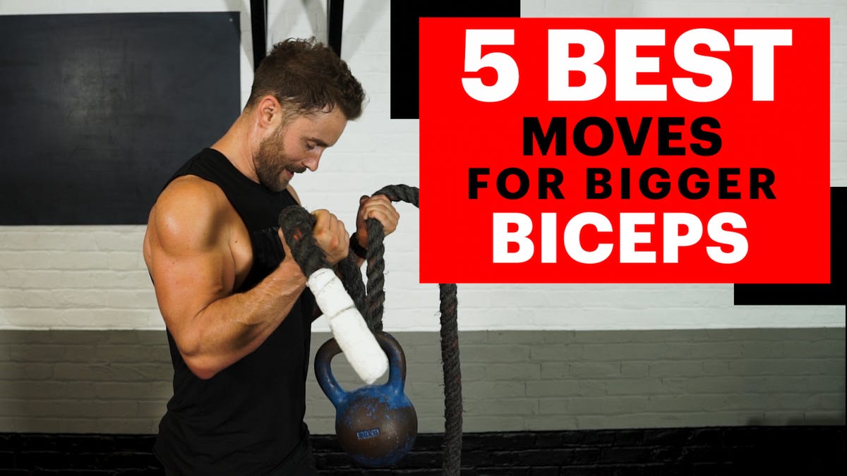 24 Bicep Exercises Workouts For