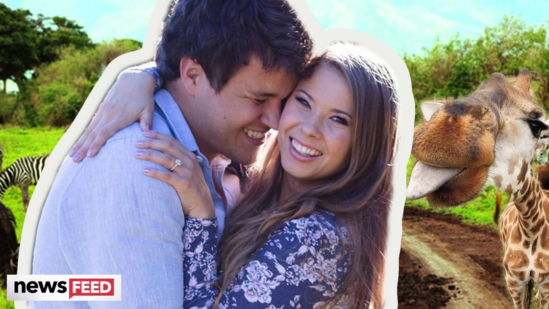 preview for Bindi Irwin Is ENGAGED At 21!