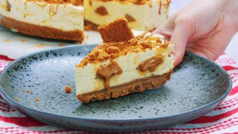 Featured image of post How to Make Vegan Biscoff Cheesecake Without Cream Cheese