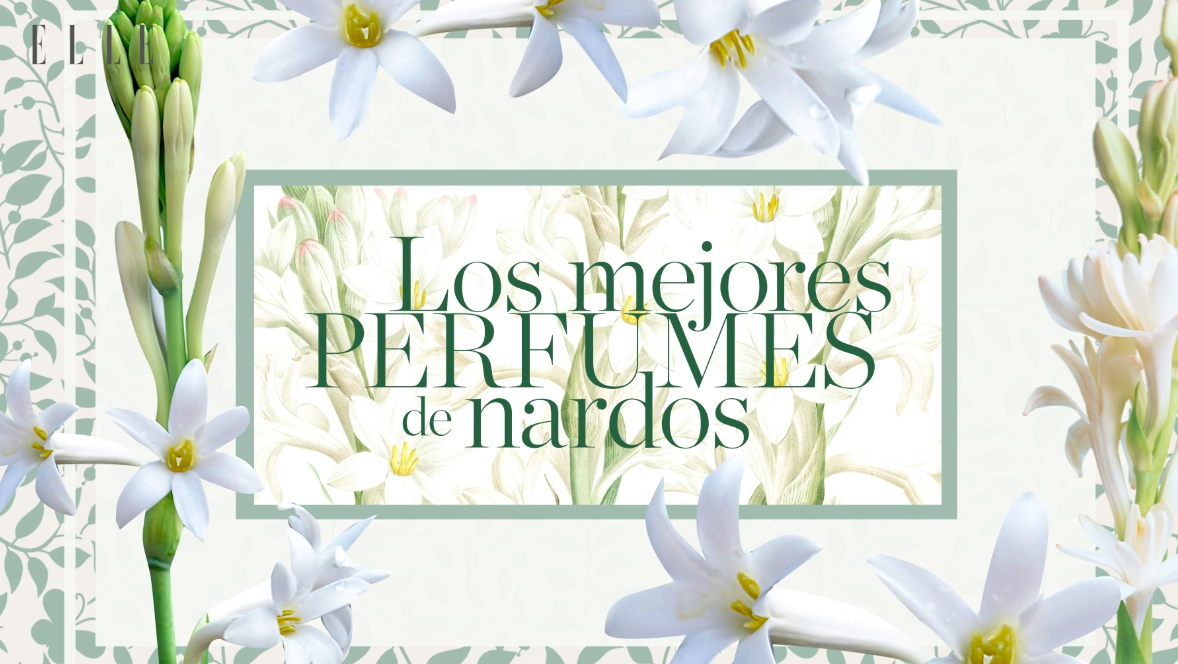 preview for Los mejores perfumes de nardos