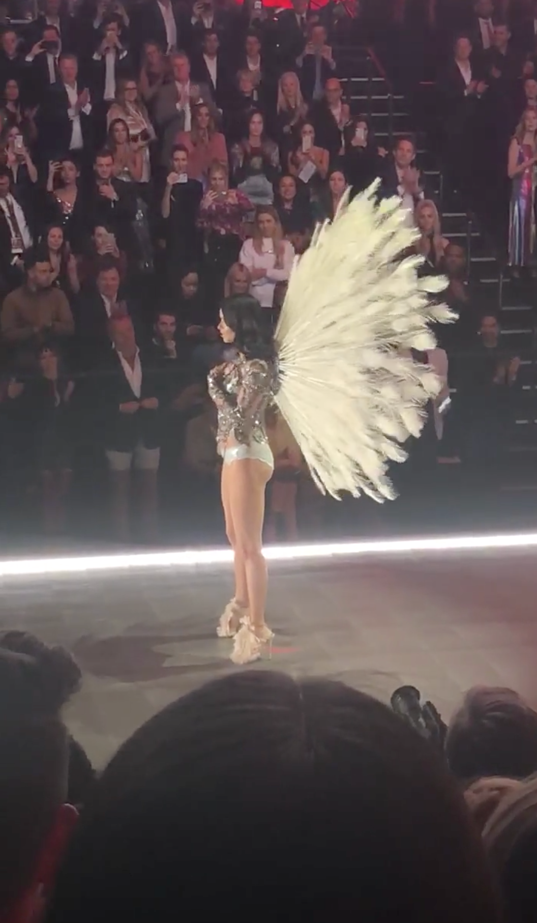 Adriana Lima's Victoria's Secret Fashion Show evolution