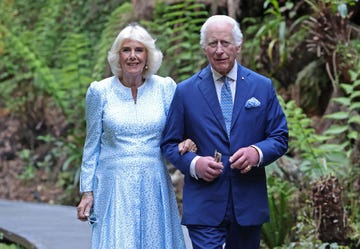 los reyes carlos iii y camila