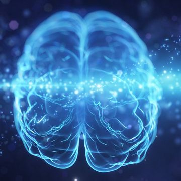 gli scienziati hanno filmato il movimento del pensiero nel cervello