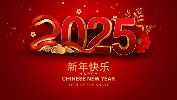 新政 newyear ニューイヤー 2025 0_55b2dbaa-43f7-4be5-a15a-