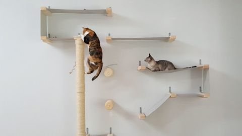 preview for This Company Makes The Perfect Indoor Playground For Your Feline Friends
