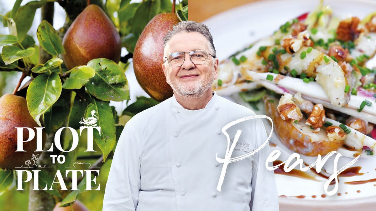 preview for Plot to Plate