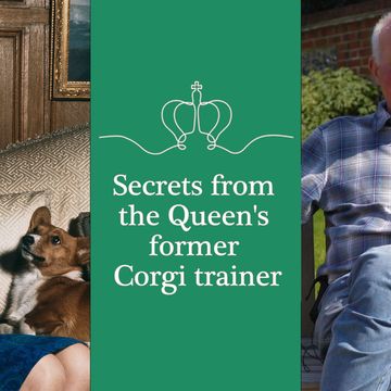 queen's former corgi trainer roger mugford