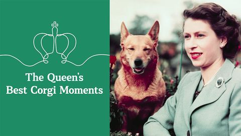 preview for The Queen's best Corgi moments