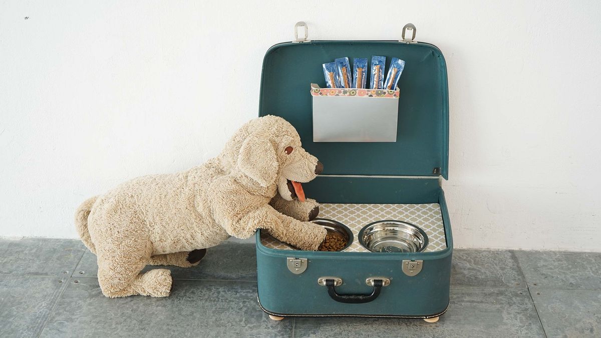 preview for Un simpático comedero para perros hecho con una vieja maleta