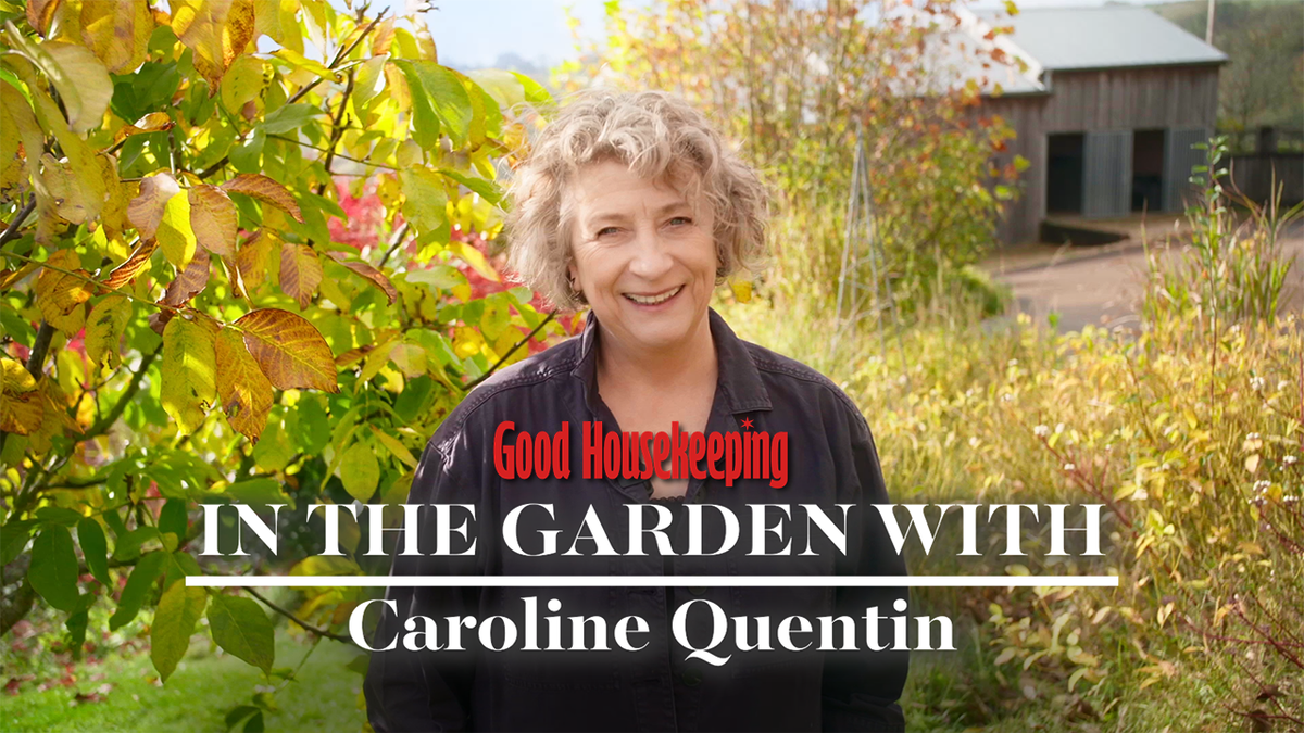 preview for Over the fence with Caroline Quentin