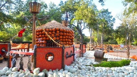 preview for This Pumpkin Village in Dallas Is Absolutely Incredible