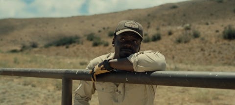 Daniel Kaluuya, oba zwiastuny