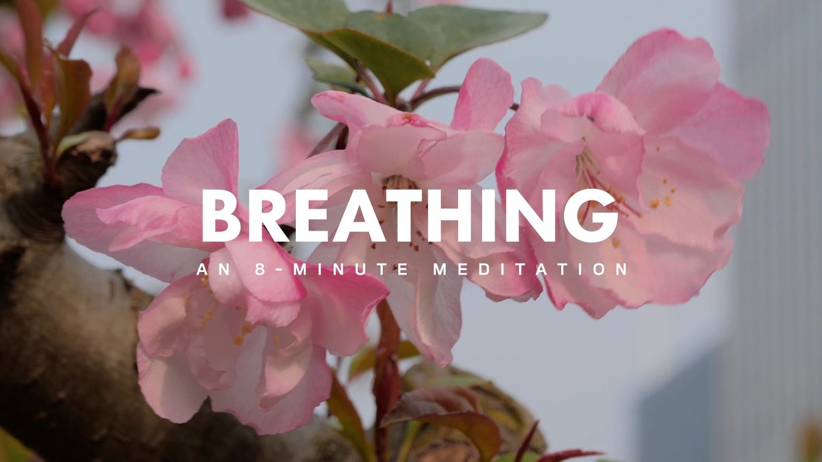 preview for Breathing: An 8-Minute Meditation
