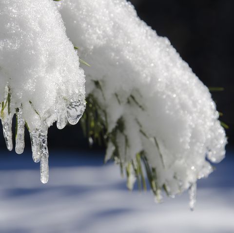 preview for The 'Old Farmer’s Almanac' Winter 2019 Forecast Says It Will be Warm and Wet